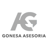 Gonesa Asesoria